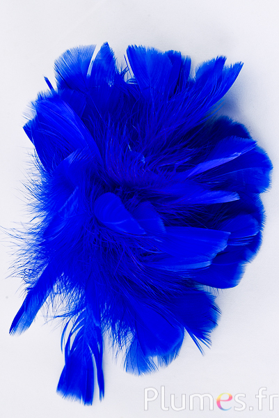 Dinde mèche - Ø 18 cm - bleu